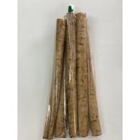 ราคา โกโบ / รากโกโบสด (Gobo, 牛蒡) Burdock Root (500 g./แพค) (10396312839)