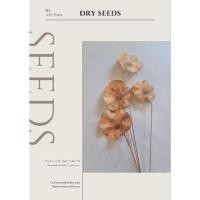 ราคา ดอกไม้ผลไม้ป่าจากธรรมชาติ100%(1ชุด5ชิ้น) (29102986890)