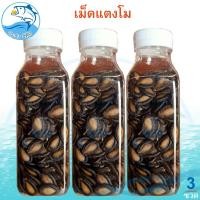 ราคา เม็ดแตงโม 100กรัม 3ขวด เมล็ดแตงโม เม็ดแตงโมอบ เมล็ดแตงโมอบ เม็ดแตงโมอบแห้ง เมล็ดแตงโมอบแห้ง (24080111809)