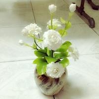 ราคา ดอกมะลิ - ดินญี่ปุ่น (code ส่วนลดอยู่หน้าเพจ) (1664898308)