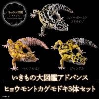 ราคา ตุ๊กแกเสือดาว ADVANCE LEOPARD GECKO 3PCS SET Bandai Permium (10694767160)