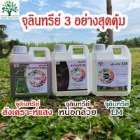 ราคา หัวเชื้อจุลินทรีย์ EM หัวเชื้อจุลินทรีย์หน่อกล้วย หัวเชื้อจุลินทรีย์สังเคราะห์แสง ชุด 3 อย่าง สุดคุ้ม (1000) (21338825505)