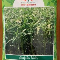 ราคา เมล็ดพันธุ์ผักบุ้งจีน ไผ่เงิน ตราศรแดง ขนาด 1 กิโลกรัม (3920581520)