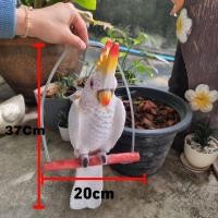 ราคา นกกระตั้ว นกแขวน นกแขวนต้นไม้ นกเรซิน นกแต่งสวน นกตกแต่งบ้าน นกแต่งบ้าน นกตกแต่งสวน (19321783798)