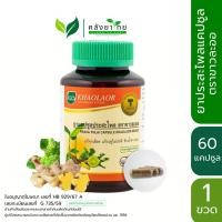 ราคา Khaolaor ขาวละออ ประสะไพล ชนิดแคปซูล 60 แคปซูล/ขวด [ผลิตภัณฑ์สมุนไพรขายทั่วไป] (13260646382)
