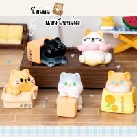 ราคา #03 (เซ็ท 5 แบบ) แมวในกล่อง 3D ตุ๊กตาจิ๋ว โมเดลจิ๋ว ตุ๊กตาเรซิ่น แต่งบ้าน แต่งสวน ตั้งโต๊ะทำงาน งานDiy (52304836769)