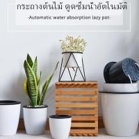ราคา กระถางต้นไม้พลาสติก กระถางต้นไม้ดูดน้ำอัตโนมัติ YF 5001 (7845115724)