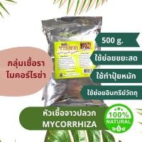 ราคา PTA 500g. หัวเชื้อจาวปลวก แบบผง กลุ่มเชื้อราไมคอร์ไรซ่า Mycorrhiza (16101449357)