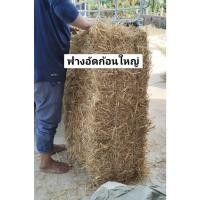 ราคา ฟางแห้งอัดก้อนใหญ่ ฟางข้าวนาปี ฟางเพาะเห็ด (27879622324)