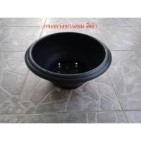 ราคา กระถางชวนชมพลาสติก สีดำ ขนาด 12 นิ้ว (ขายแพ็คมี 2 ใบ) (3850117711)