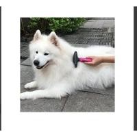 ราคา Grooming set taotronics ชุดแปรงหวีเก็บขนสัตว์เลี้ยง-1 กล่องรรจุ หวีแปรงเก็บขน 1 ชิ้น,หวีสแตนเลส 1 ชิ้น (29156068146)