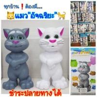 ราคา แมวอัจฉริยะ"ทอมแคทพูดได้" ของเล่นแมว Tom cat แมวเล่านิทาน 8เรื่อง ร้องเพลง8เพลง (6617597034)