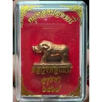 ราคา หมูทองแดง รุ่น ปลดหนี้ หลวงพ่อแม้น วัดหน้าต่างนอก (42865183728)