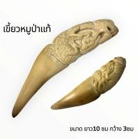 ราคา เขี้ยวหมูป่าตันแกะสลัก ของขลังตามธรรมชาติที่มีพลังในตัวของมันเอง (46253709777)