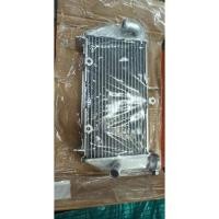 ราคา หม้อน้ำ R3 หม้อน้ำของใหม่มือหนึ่ง (18418337644)