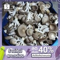 ราคา ดอกเห็ดนางฟ้าภูฏานหรือ เห็ดนางฟ้าภูฐาน สด 1 กิโลกรัม (10605272829)