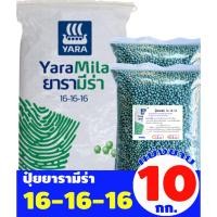 ราคา ปุ๋ยยารามีร่า สูตร 16-16-16 แบ่งขาย 10 กิโลกรัม (19319283960)