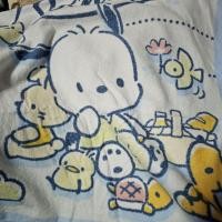 ราคา ผ้าขนหนู ผ้าเช็ดตัว โปเชโกะ Pochacco (4076660710)