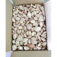 ราคา ขายดี!! กระเทียมจีนแกะกลีบ แพ็ค1กิโล และขนาดอื่นๆ กลีบสวยแกะมือใหม่ๆ ไม่ช้ำค่ะ ทางร้านคัดให้อย่างดีก่อนส่งค่ะ (42006838110)