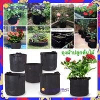 ราคา buybuytech ถุงผ้าสักหลาด ผ้าไม่ทอ สำหรับปลูกต้นไม้ อย่างหนา ,กระเป๋าผ้าปลูกต้นไม้, ถุงปลูกพืช,กระถางดอกไม้ผ้า(Bag) (23168489709)