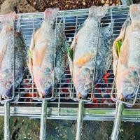 ราคา สแตนเลสคุณภาพสูงกันสนิม ไม้เสียบปลานิล อุปกรณ์ย่างปลา เหมาะสำหรับย่าง/อบปลา (44554188907)