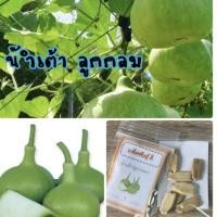 ราคา เมล็ดพันธุ์ น้ำเต้าลูกกลม Round gourds น้ำเต้า (ซื้อ 10 แถม 1 คละอย่างได้) (5031471500)