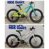 ราคา รถจักรยาน 20” HARO Flightline 20plus (20429868924)