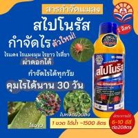 ราคา ส่งด่วน! สไปโนรัส สไปโรไดโคลเฟน สารตัวเดียวกับโอเบรอน สูตรเย็น ผ่าดอกได้ ใช้น้อย คุมไรได้นาน ป้องกันกำจัดไรแดง ทุกระยะ (26173073616)