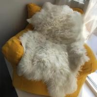 ราคา พรมขนแกะ ขนแกะแท้ ขนฟูนุ่ม สีขาวธรรมชาติ ราคาสุดคุ้ม (25738874287)