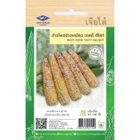 ราคา เมล็ดพันธุ์ ข้าวโพดข้าวเหนียว เทสตี้ ดีไลท์ ตราเจียไต๋ (24992063228)
