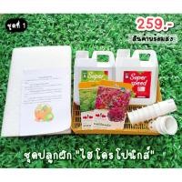 ราคา ชุดปลูกผักสลัด ชุดปุ๋ยไฮโดรโปนิกส์ ปุ๋ยเอบี ชุดปุ๋ยเอบี ชุดปุ๋ยปลูกผัก พร้อมส่ง!! (4561656189)