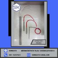 ราคา Cartridge Heater ฮีทเตอร์แท่งขนาด 9.5x170mm/110v300w (12983061915)