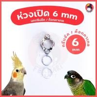 ราคา ห่วงขานก ห่วงเปิดคล้องขานก 6 mmพร้อมส่ง!!!ห่วงขานกแก้ว ค๊อกคาเทล กรีนชีค (7551284672)