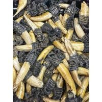 ราคา เขี้ยวหมูตัน เขี้ยวหมูป่าตันแท้ๆ100% หมูป่าเขี้ยวตัน เครื่องรางของขลังจากสัตว์ ที่ไม่ต้องปลุกเสกก็ฤทธิ์เดชเหลือคณา (24929934914)