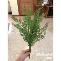 ราคา พร้อมส่ง เฟิร์นช่อประดับสวน รุ่นก้านดำL เฟิร์นพลาสติกประดับตกแต่ง เฟิร์นปลอม สวนแนวตั้ง ดอกไม้ประดิษฐ์ ใบไม้ปลอม (25831905174)