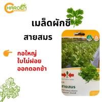 ราคา เมล็ดผักชี สายสมร ตราศรแดง (ซองแข็ง) (23355311027)