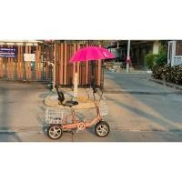 ราคา จักรยานแม่บ้าน 4 ล้อ Colele-s มือสองจากญี่ปุ่น วงล้อ 12 นิ้ว เฟรมอลูมิเนียม เบาๆ สภาพสวย ใหม่มาก สีสวย เดิมๆ (26574979239)