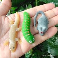 ราคา (ราคา/ 1 ตัว) สัตว์ปลอม ตุ๊กแกปลอม จิ้งจกปลอม หนูปลอม หนอนชาเขียว หนอนปลอม หนอนยาง หนอน ของเล่นแก้งคน ตุ๊กตายาง m24 shop (43529166778)