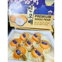 ราคา สาลี่หิมะ เกาหลี (กล่องครีมน้ำเงิน ตราสิงห์โต) Singo Pear 6-7 ลูก/ลัง (24588192068)