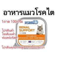 ราคา อาหารแมวโรคไต อาหารแมวโรคไตแบบเปียก 100g อาหารแมวโรคไต เปียก forza10 อาหารแมวรสเนื้อแกะ อาหารแมวโรคไต อาหารแมวโรคหัวใจ (22133055501)