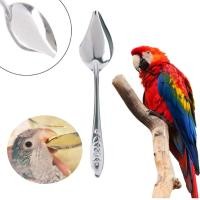 ราคา ช้อนป้อนลูกนก ปลอดภันต่อลูกนก (18972188242)