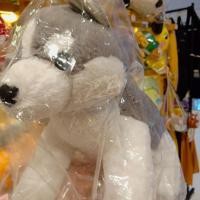 ราคา พร้อมส่ง ตุ๊กตาหมาไซบีเรียน ฮักกี้ AMUFUN ขนาดบิ้กบึ้ม 22นิ้ว(60cm.)มีป้ายห้อยลิขสิทธิ์ญี่ปุ่นแท้ (23536606929)