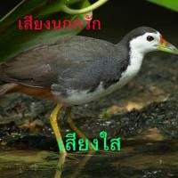 ราคา USBเสียงสำหรับต่อนกกวักบันทึกในUSBสินค้าใหม่ (13546391990)