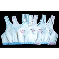 ราคา P01 เสื้อซับในเด็ก เสื้อซับในเด็กผู้หญิง เสื้อทับเด็กหญิง ชุดชั้นในเด็ก ชุดชั้นในเด็กผู้หญิง สำหรับเด็ก 6 ปีขึ้นไป (4232650318)