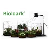 ราคา Bioloark Dew Cup โหลแก้ว สวนตกแต่งบ้าน ไบโอลาร์ค โหลแก้ว จัดสวนขวด เทอราเรี่ยม (18909129939)