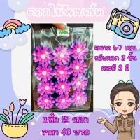 ราคา ดอกไม้กระดาษจัดบอร์ดสีม่วง (53751335171)