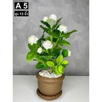 ราคา ดอกมะลิซ้อน ดอกมะลิวันแม่ ดอกมะลิปั้นจากดินไทย งานฝีมือปราณีต ดอกมะลิดินปั้นราคาถูก ดอกมะลิปลอม ของขวัญวันแม่ (24984329243)