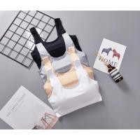 ราคา SB-200 สปอร์ตบรา ชุดชั้นใน ไร้ขอบ ไร้โครง ตะขอหลัง (7941381583)
