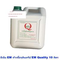 ราคา papamami อีเอ็ม EM หัวเชื้อจุลินทรีย์ EM Quality 10 ลิตร (1แกลอน) (42678939894)