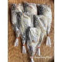 ราคา ปลาส้มปลาตะเพียน 500g. ปลาส้มบุรีรัมย์ (41360520592)